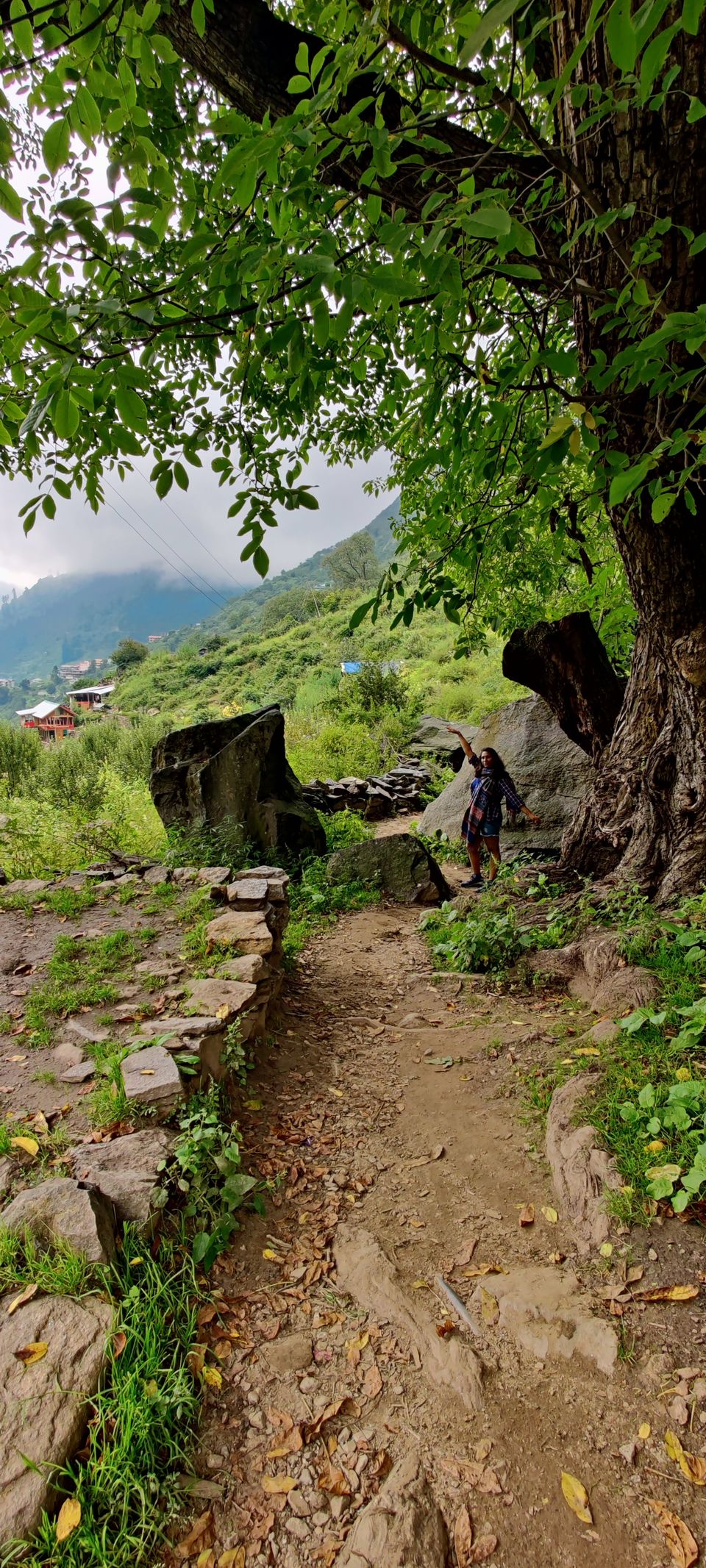 Photo of Why Tosh is considered to be a hidden gem of Himachal Pradesh 10/13 by Paridhi Agarwal
