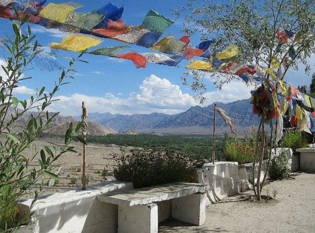 Photo of Traveling Solo Across Northwest India 10/14 by Sarah Touma