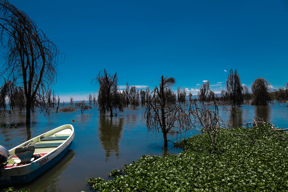 Photo of Lake Naivasha, Nakuru County, Kenya by Kitty Iyer