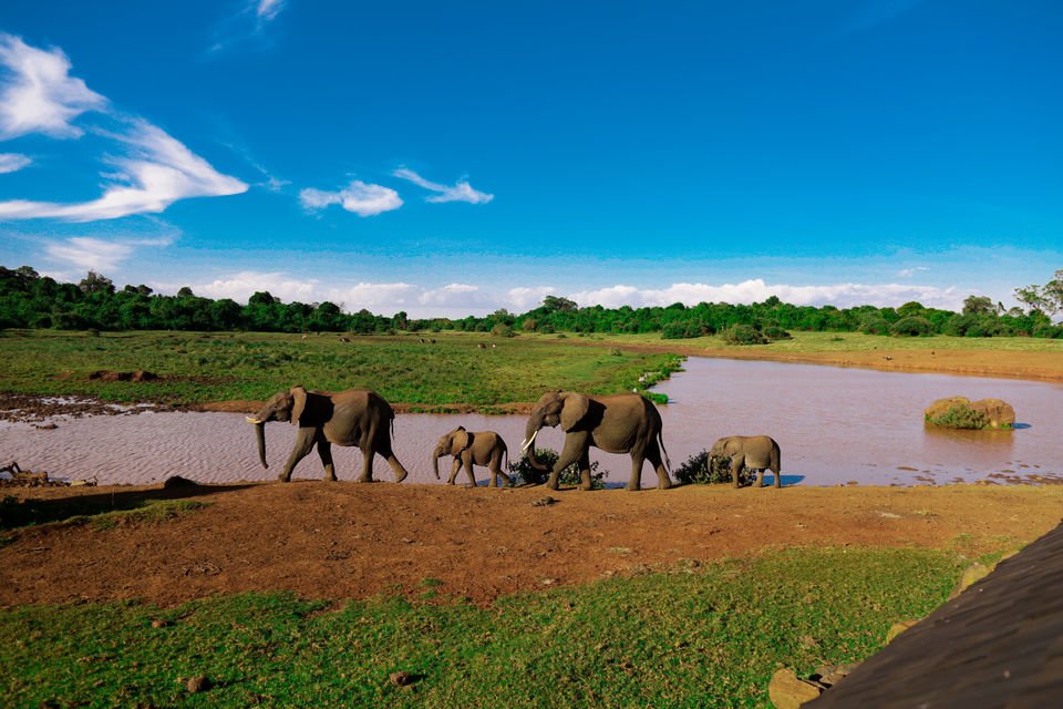 Photo of Aberdare National Park, Nyeri County, Kenya by Kitty Iyer