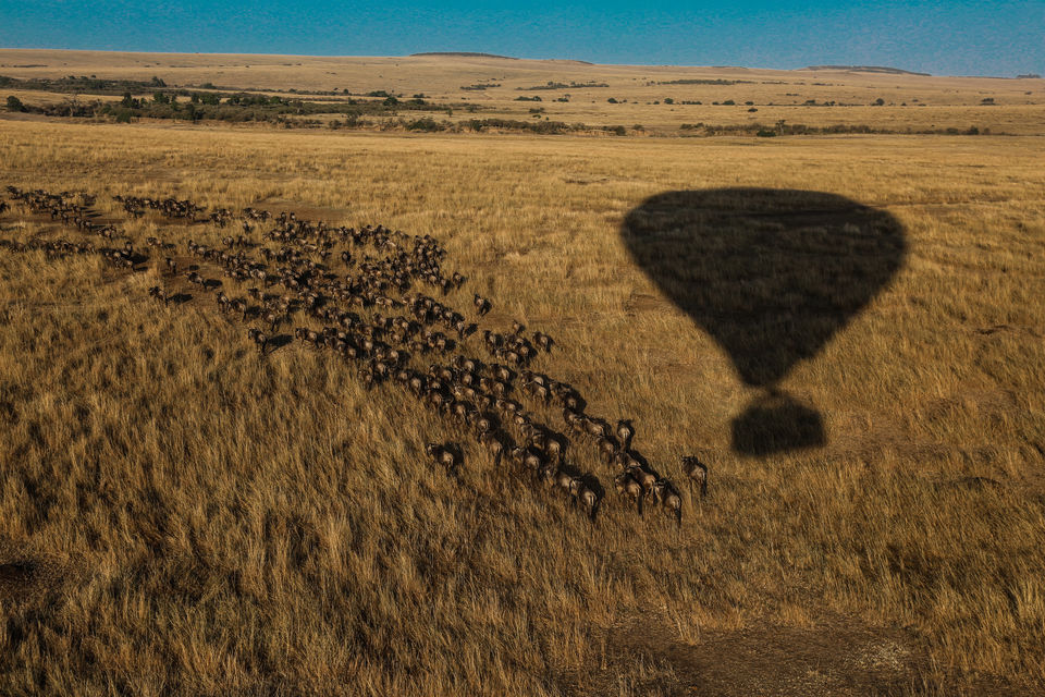 Photo of 7 Marvelous Days In Kenya by Kitty Iyer