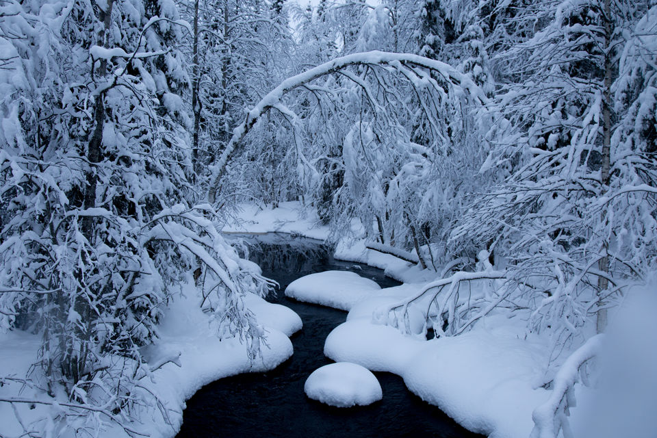 Photo of Finnish Adventures | More Than Just The Northern Lights by Kitty Iyer