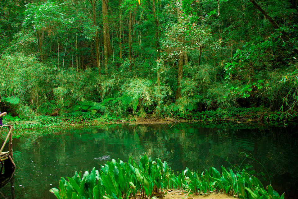 Photo of The Secret Tiny Little Lake Near Bangalore You Didn't Know About 2/4 by Kitty Iyer