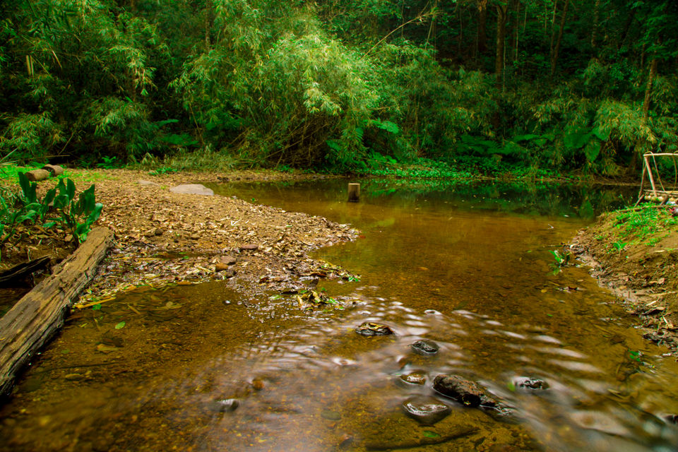 Photo of The Secret Tiny Little Lake Near Bangalore You Didn't Know About 4/4 by Kitty Iyer