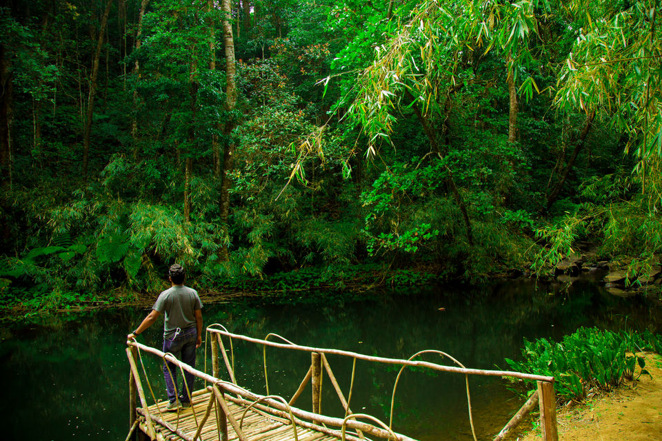 Photo of The Secret Tiny Little Lake Near Bangalore You Didn't Know About 1/4 by Kitty Iyer