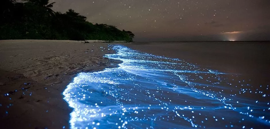Photo of Maldives by Kitty Iyer