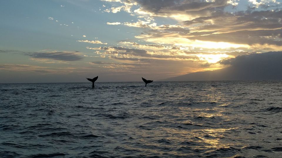 Photo of Hawaii, United States by Kitty Iyer