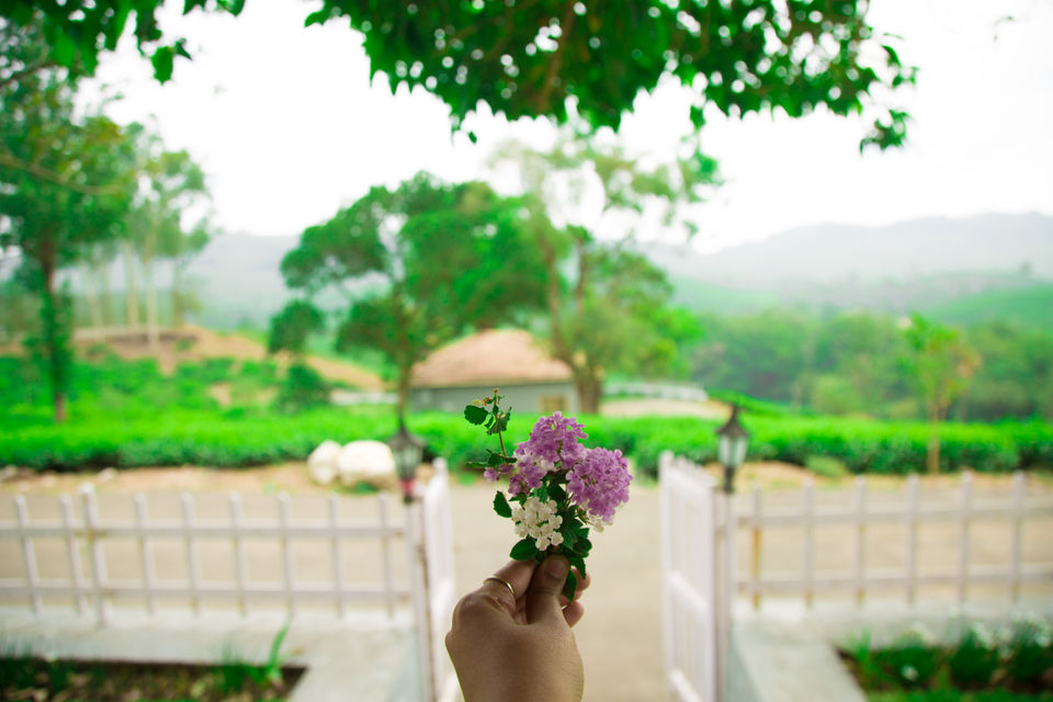 Photo of 7 Tips And Tricks For Travel Photography That Will Make Your Instagram Famous 9/11 by Kitty Iyer