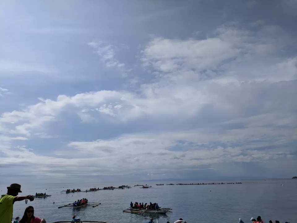 Photo of Swim With The Whale Sharks For Just Rs 1300! by Kitty Iyer