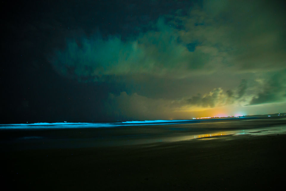 Photo of Never Seen Before: Bioluminescense in South Goa! by Kitty Iyer