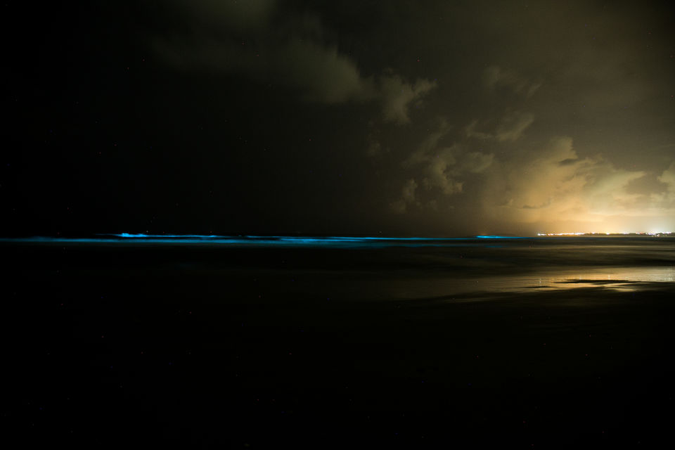Photo of Betalbatim, Goa, India by Kitty Iyer
