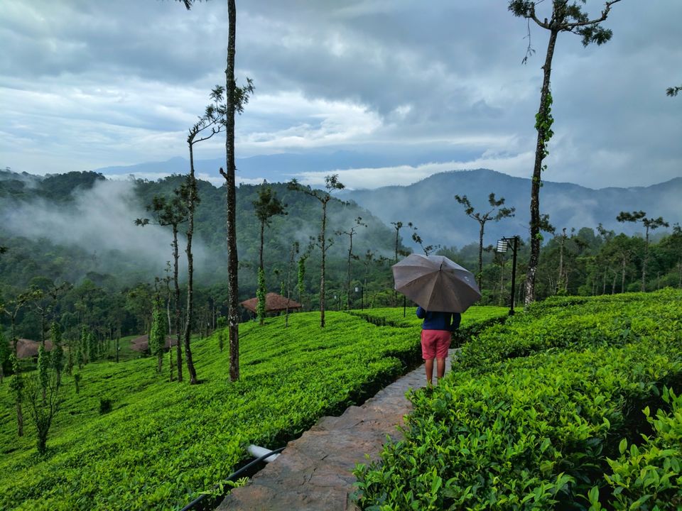 Photo of Devala: A Secret Hill Station You Must Visit by Kitty Iyer