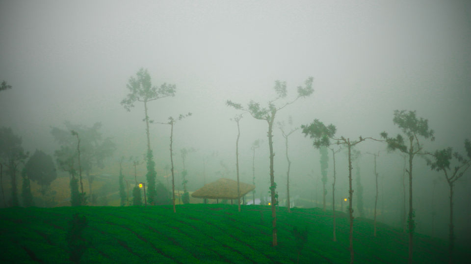 Photo of Devala: A Secret Hill Station You Must Visit by Kitty Iyer