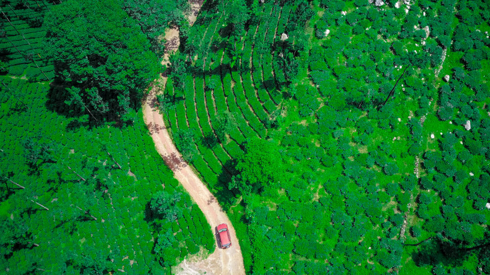 Photo of Travel With A Drone. See The World From A Birds Eye View! 1/9 by Kitty Iyer