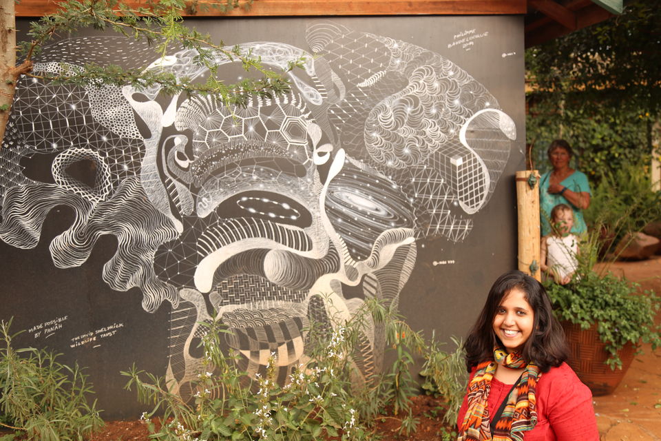 Photo of The story of how we adopted a baby elephant 4/9 by Kitty Iyer