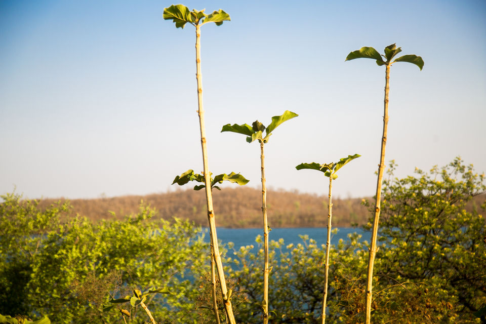 Photo of Just An Hour Away From Indore, These Riverside Destinations Have Been Hiding
In Plain Sight by Kitty Iyer