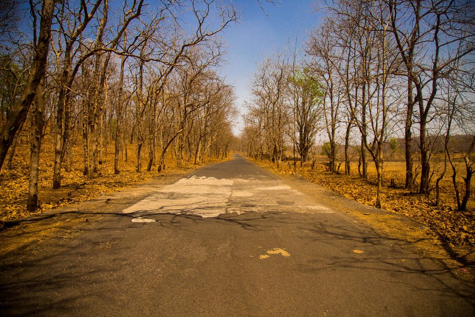 Photo of Just An Hour Away From Indore, These Riverside Destinations Have Been Hiding
In Plain Sight by Kitty Iyer