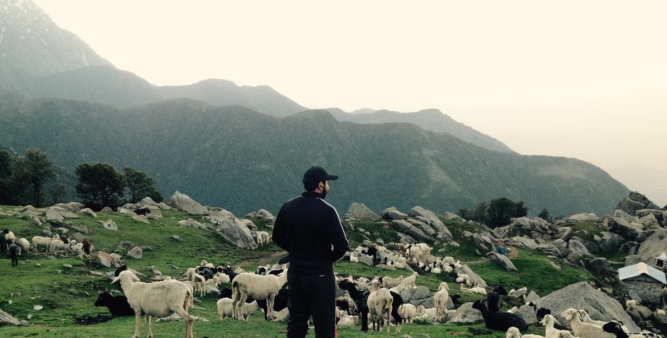 Photo of Journey to Rare Moments for Breath:McLeodGanj,Himachal Pradesh 2/7 by Sankalp Singh Chauhan