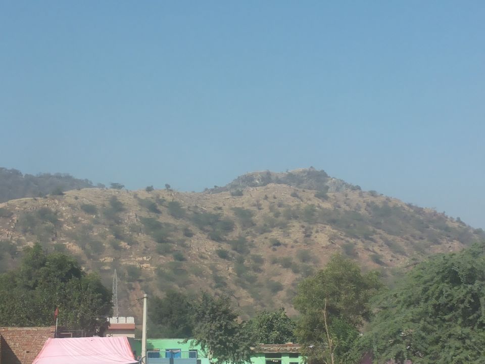 Photo of Mapping Ranthambore with vagabonds 1/26 by Sankalp Singh Chauhan