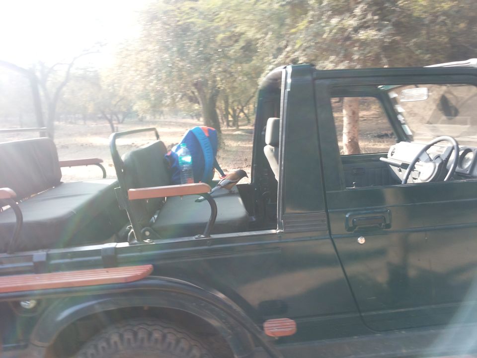 Photo of Mapping Ranthambore with vagabonds 3/26 by Sankalp Singh Chauhan