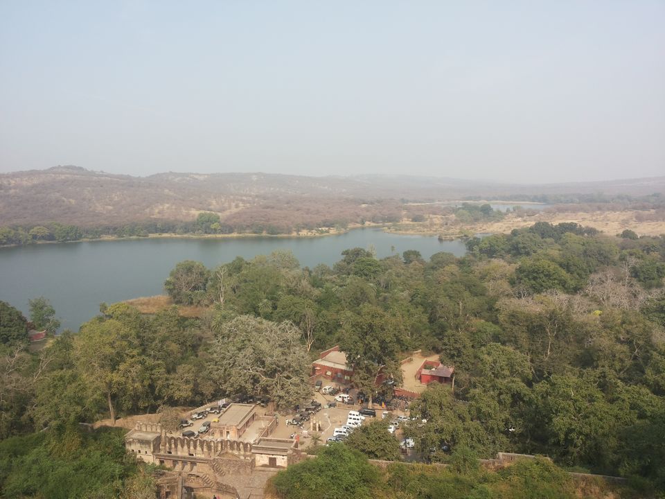 Photo of Mapping Ranthambore with vagabonds 7/26 by Sankalp Singh Chauhan