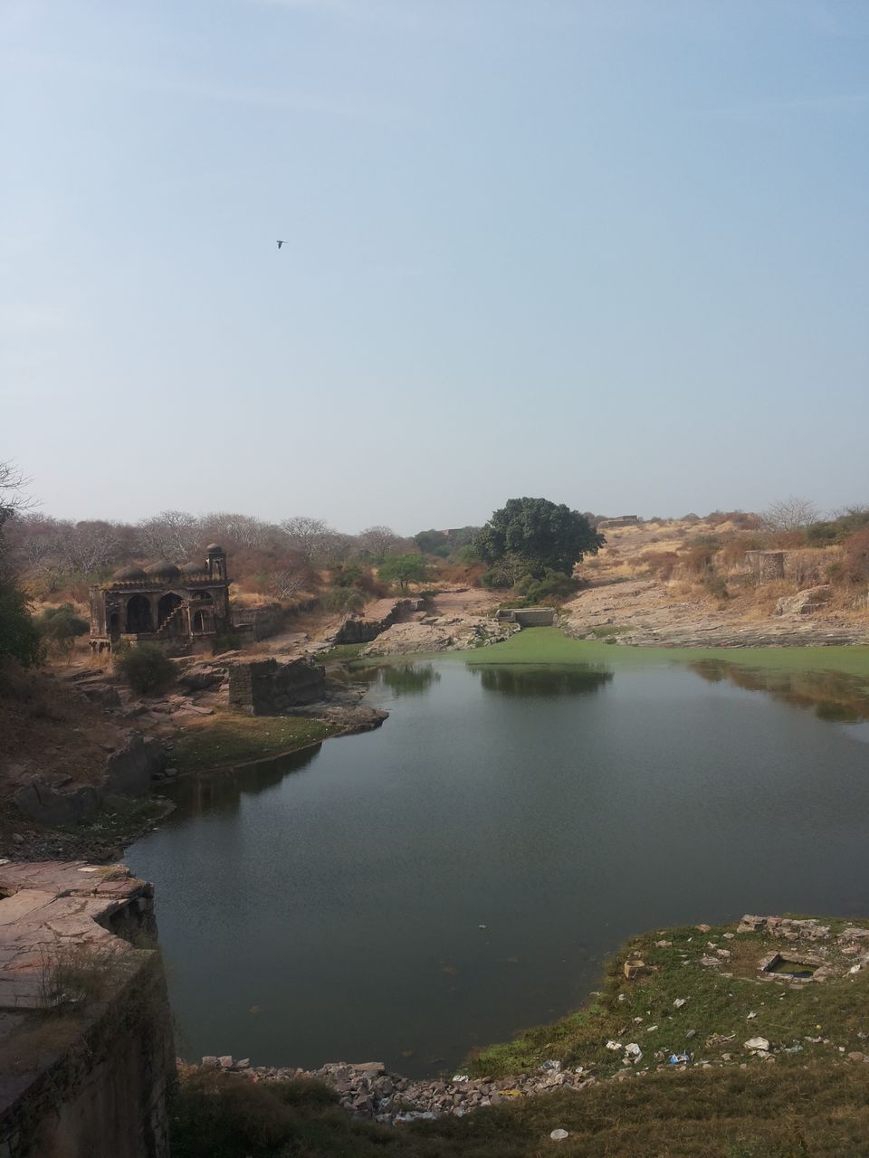Photo of Mapping Ranthambore with vagabonds 8/26 by Sankalp Singh Chauhan