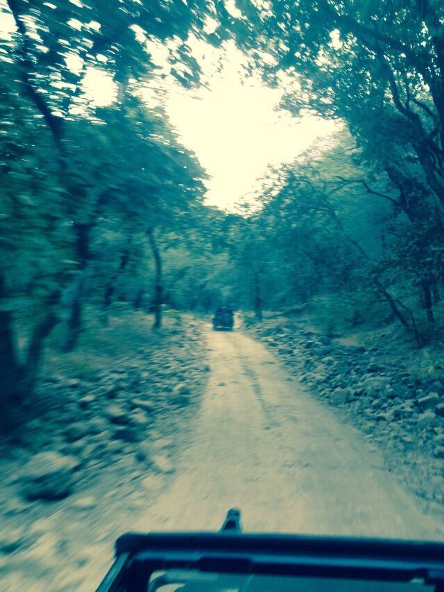 Photo of Mapping Ranthambore with vagabonds 25/26 by Sankalp Singh Chauhan