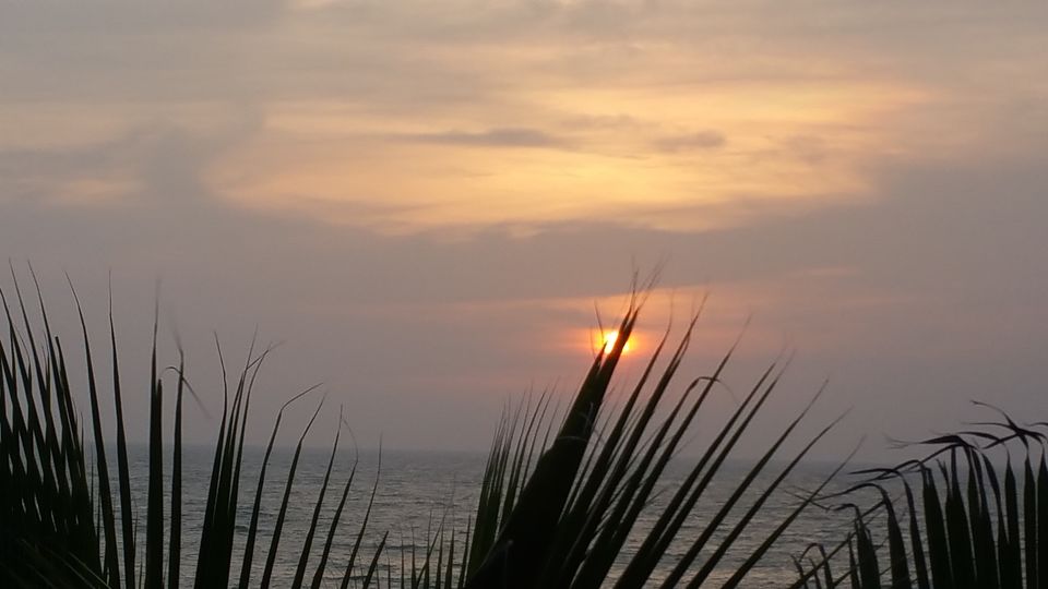 Photo of Hotel Coconut Bay, Kalutara, Sri Lanka by Naturally Curious