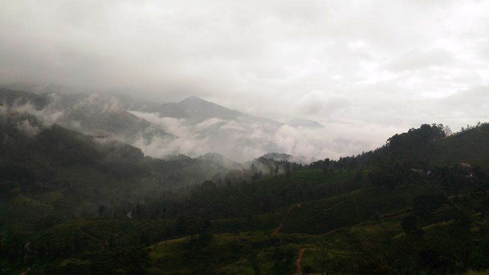 Photo of Madulkelle Tea and Eco Lodge, Sri Lanka by Naturally Curious