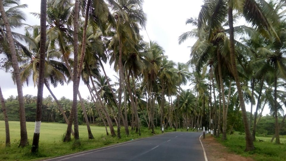 Photo of Solo Ride To Goan Gateway- Majorda by Sonali Panagale