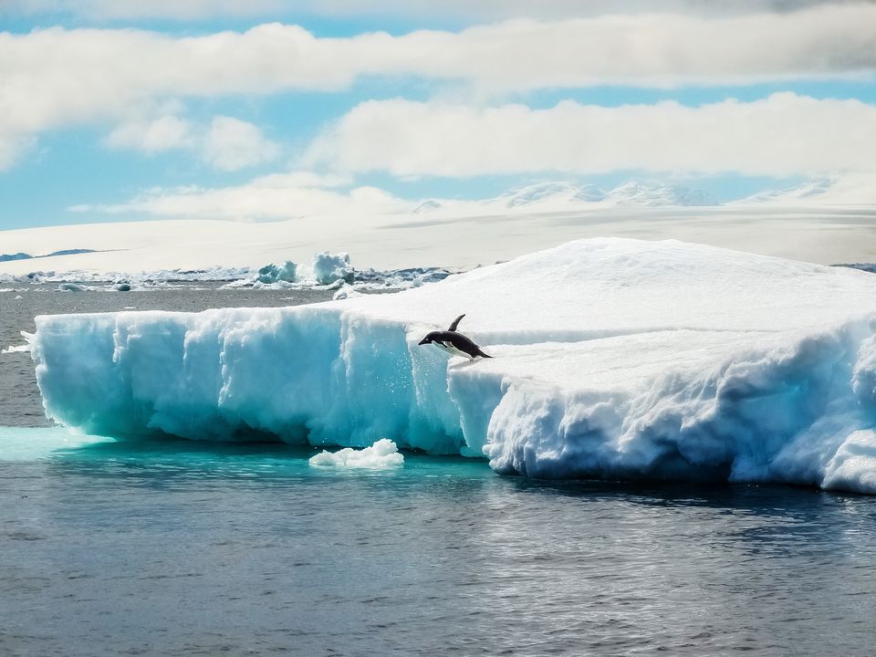 Photo of Everything you need to know to plan your trip to Antarctica! 1/5 by Ankitha Rajendaran