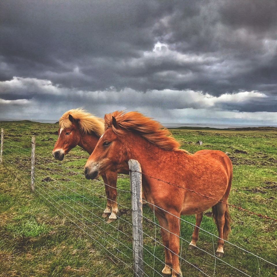 Photo of A Solo Traveler's Guide to Iceland (without a car)! #LadysFirst by Ankitha Rajendaran