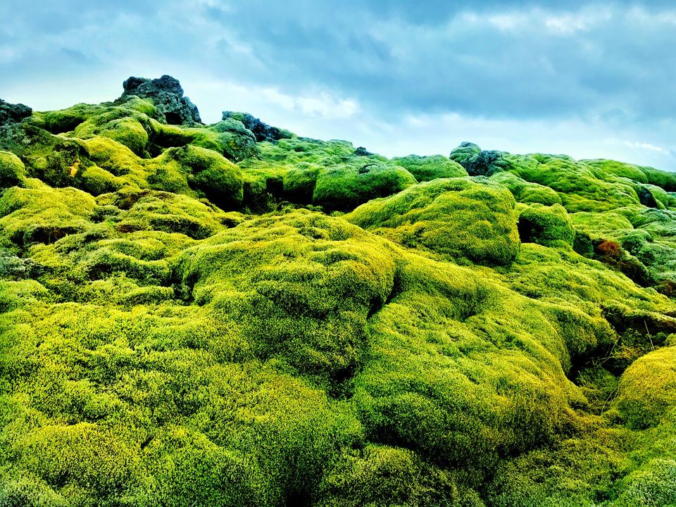 Photo of A Solo Traveler's Guide to Iceland (without a car)! #LadysFirst by Ankitha Rajendaran