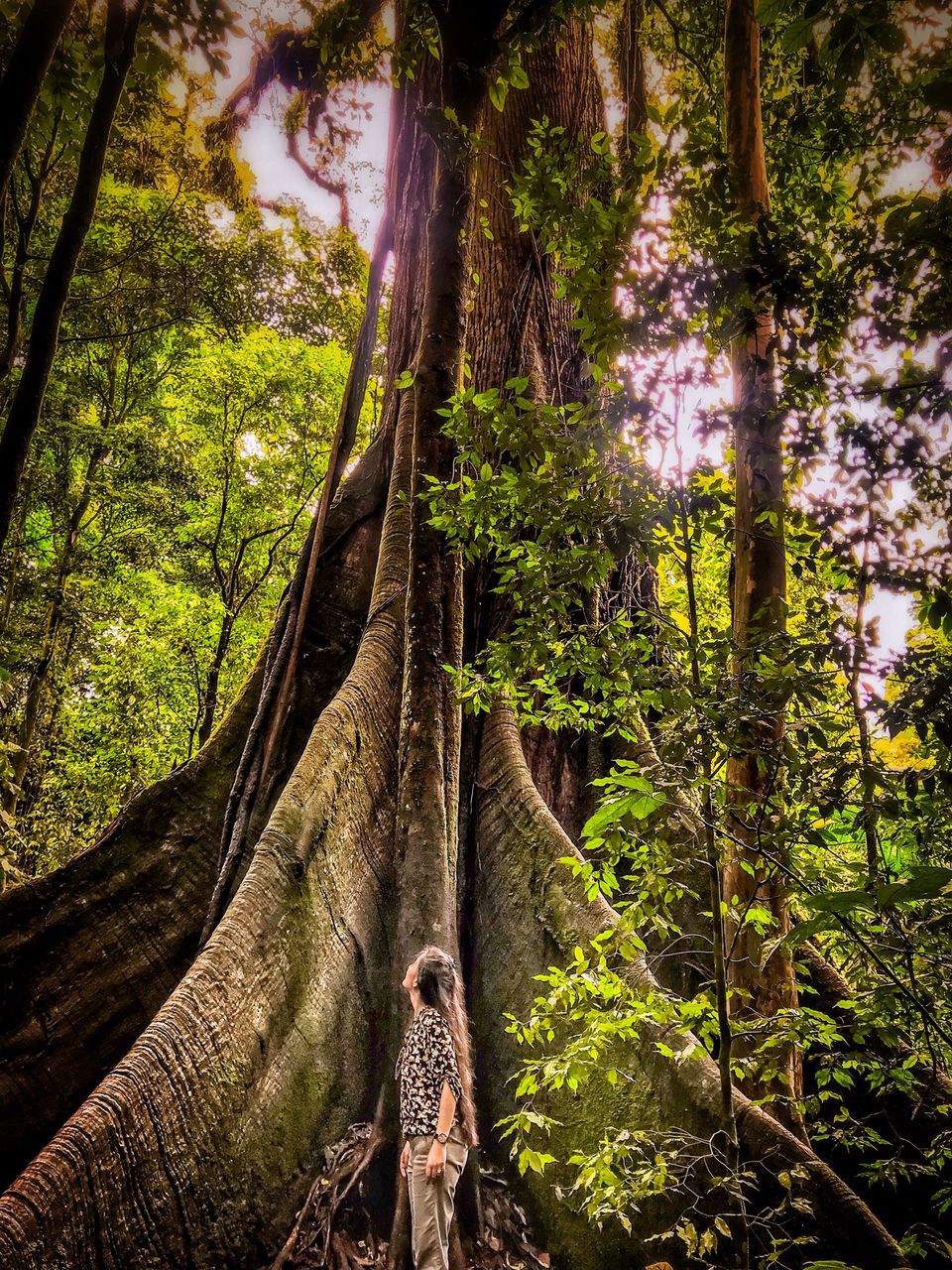 Photo of Costa Rica by Ankitha Rajendaran