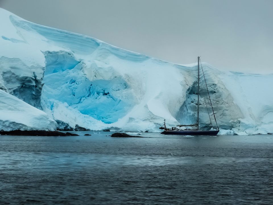 Photo of Everything you need to know to plan your trip to Antarctica! by Ankitha Rajendaran