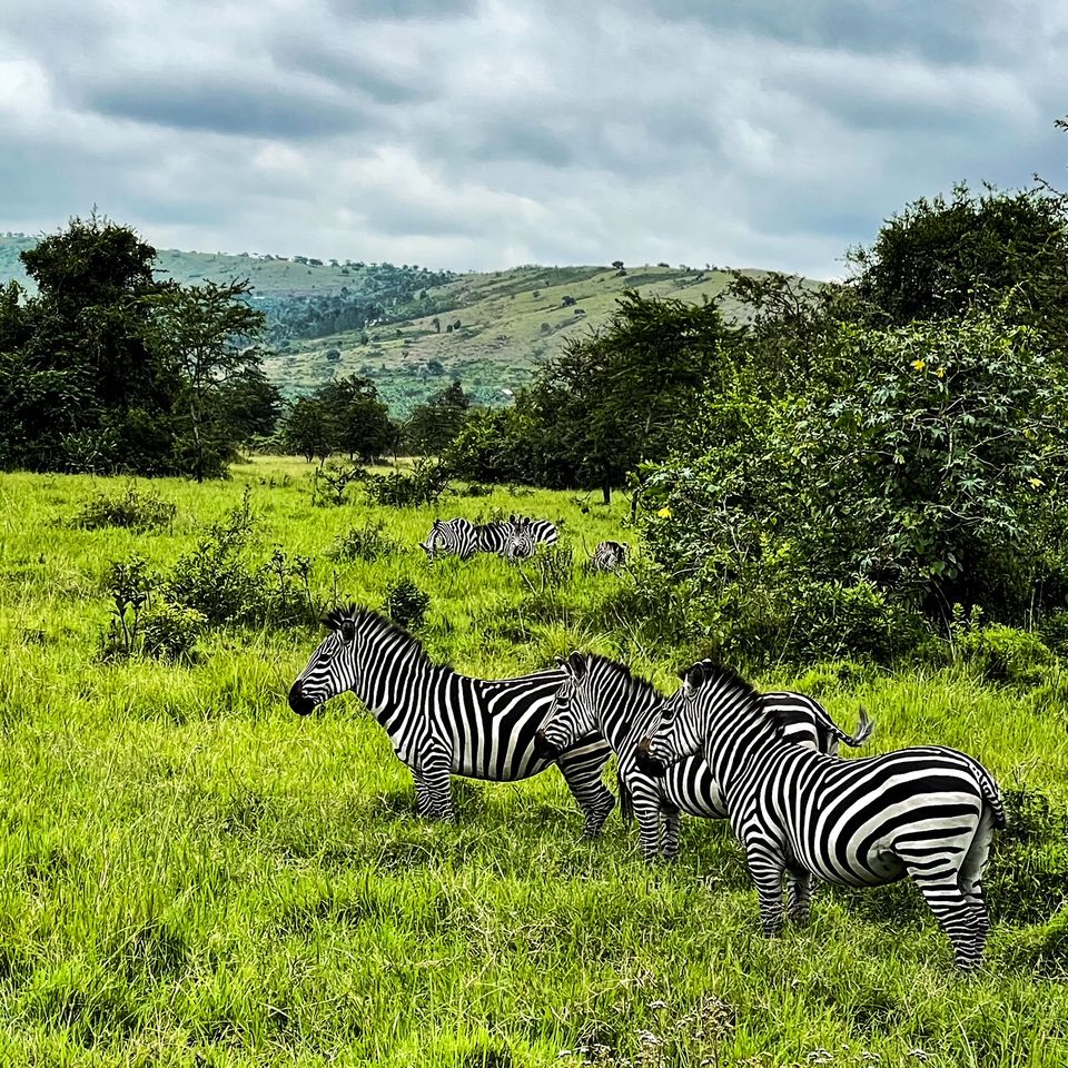Photo of 20 pictures that will inspire you to add Uganda to the top of your African bucket list! 14/20 by Ankitha Rajendaran