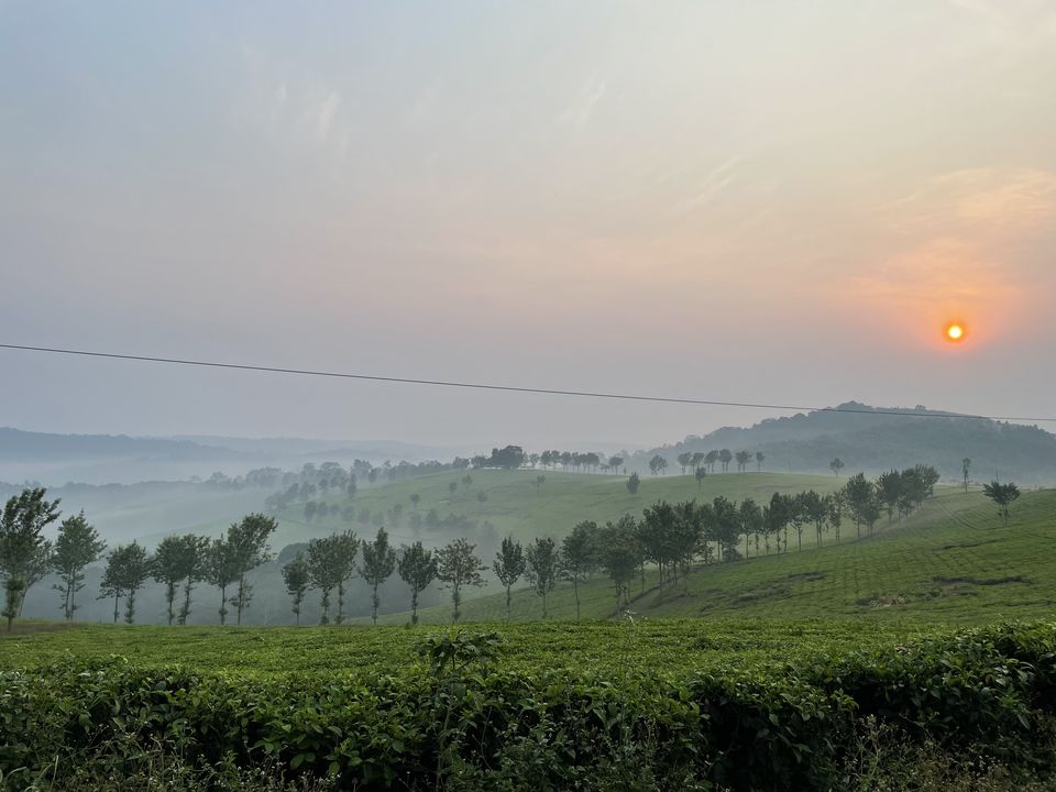 Photo of 20 pictures that will inspire you to add Uganda to the top of your African bucket list! 1/20 by Ankitha Rajendaran