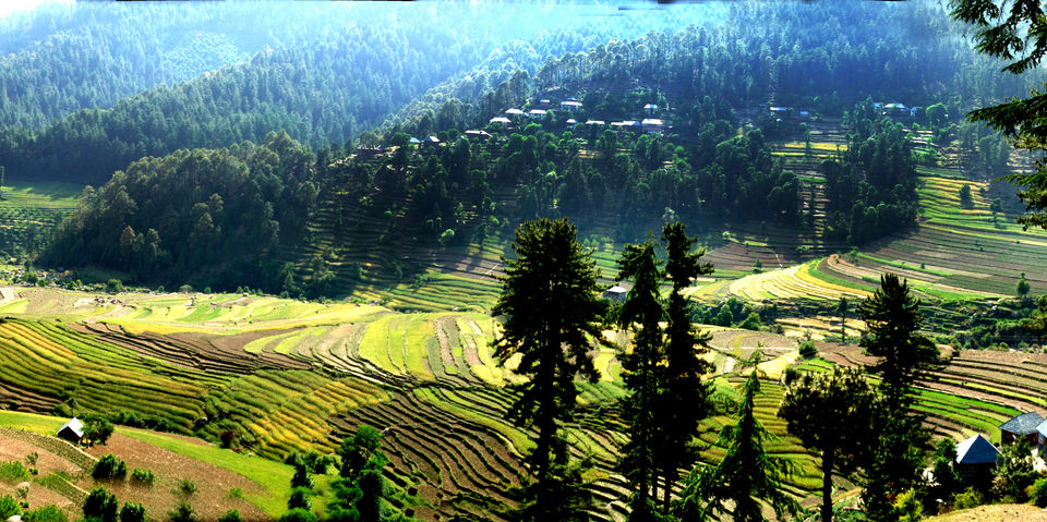 Photo of Chindi, Chindi, Himachal Pradesh, India by Being Out There