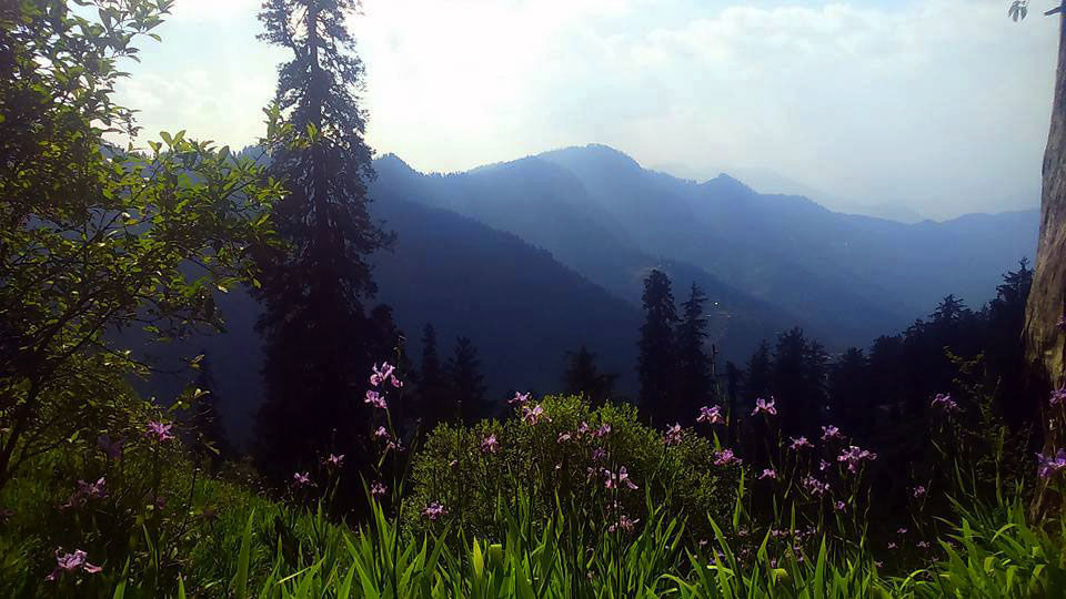 Photo of The Jalori Pass Experience 3/39 by Being Out There