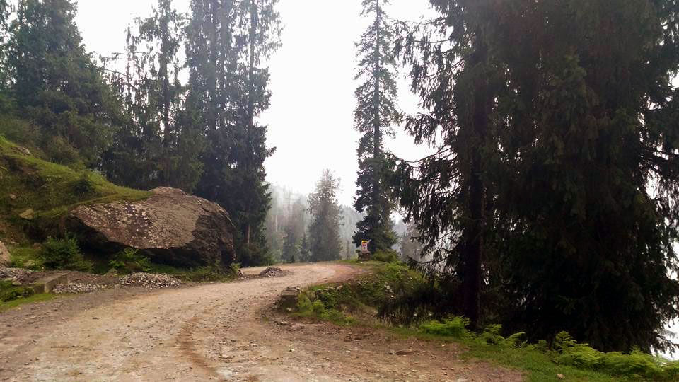 Photo of The Jalori Pass Experience 7/39 by Being Out There