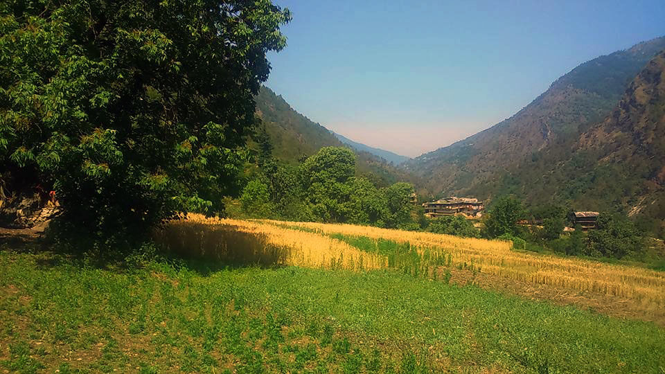 Photo of The Jalori Pass Experience 11/39 by Being Out There