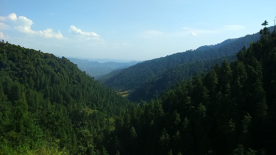 Photo of The Jalori Pass Experience 24/39 by Being Out There