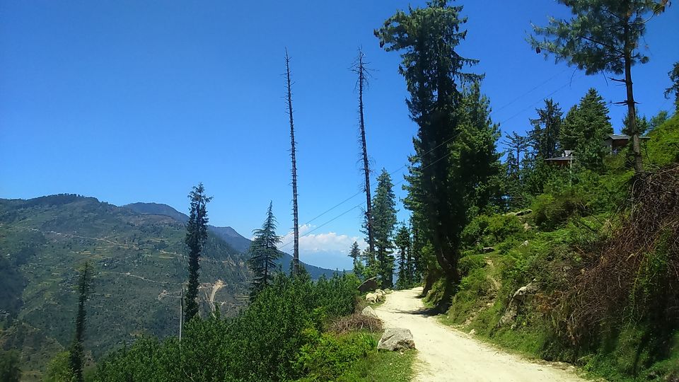 Photo of The Jalori Pass Experience 27/39 by Being Out There