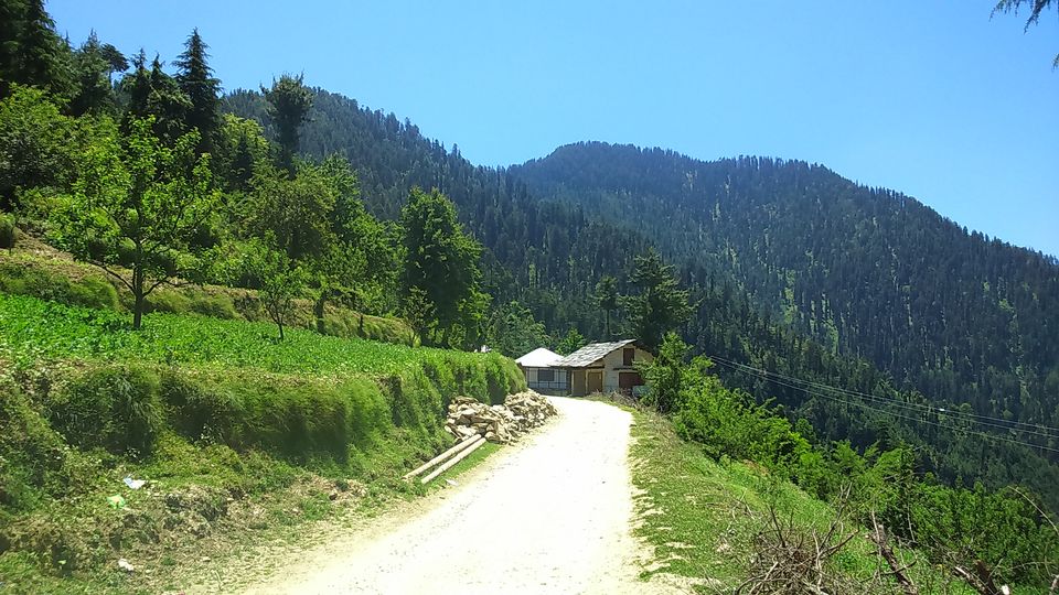 Photo of The Jalori Pass Experience 32/39 by Being Out There