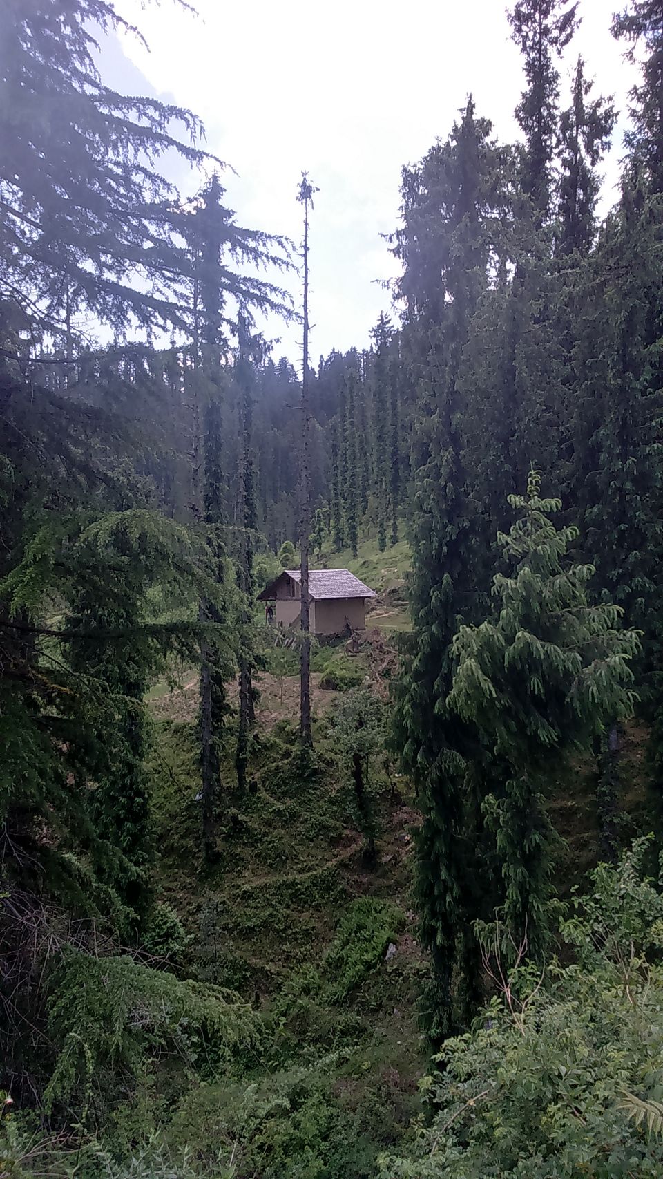 Photo of The Jalori Pass Experience 33/39 by Being Out There