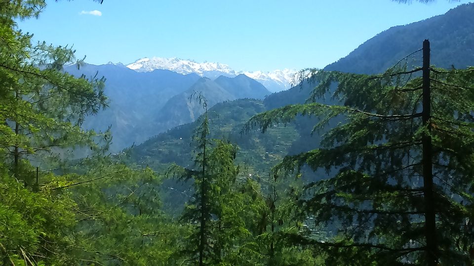 Photo of The Jalori Pass Experience 21/39 by Being Out There