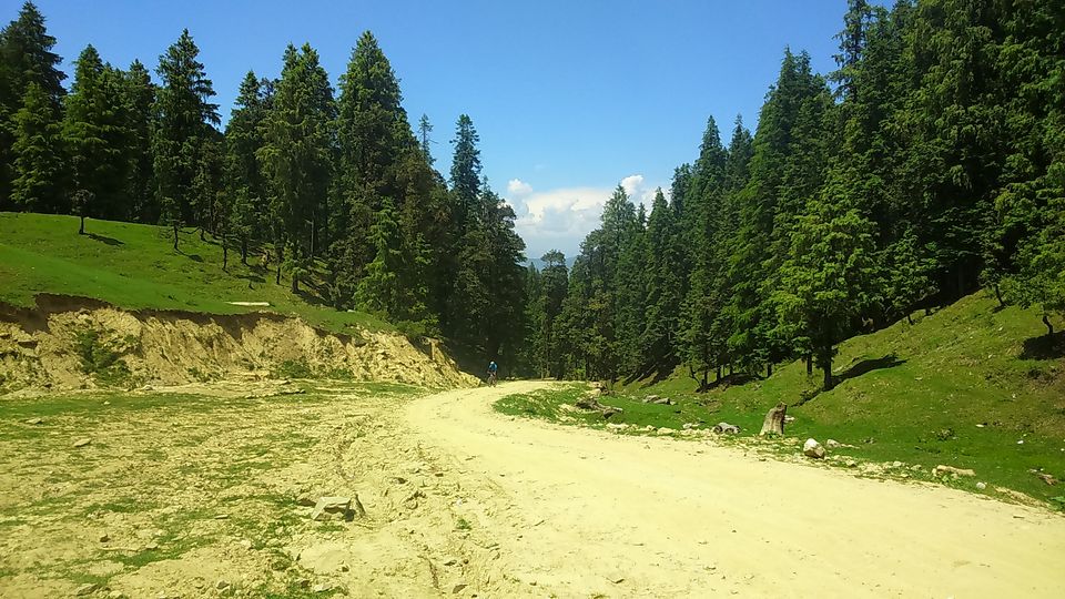 Photo of The Jalori Pass Experience 37/39 by Being Out There
