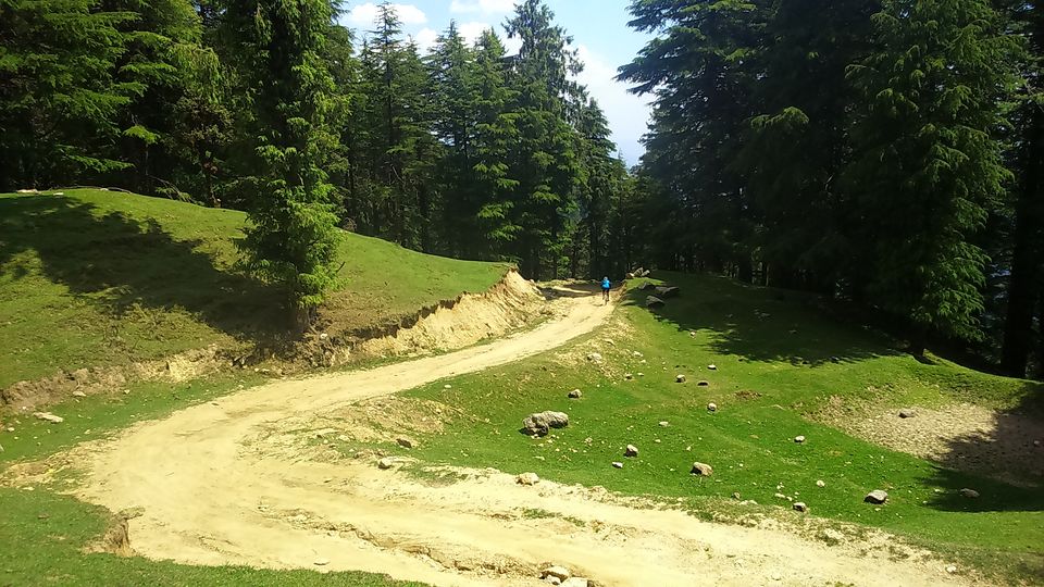 Photo of The Jalori Pass Experience 36/39 by Being Out There