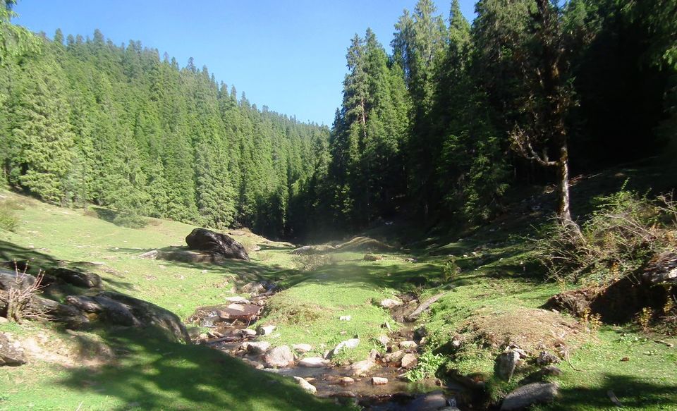 Photo of KUPPAR BUGYAL TREK - NAGAN to GIRI GANGA 4/9 by Being Out There