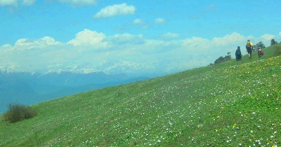 Photo of KUPPAR BUGYAL TREK - NAGAN to GIRI GANGA 6/9 by Being Out There